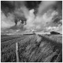slides/Downland Drama.jpg halnaker windmill west sussex cold south downs national park clouds movement abstact neautral density filter grass blue sky Downland Drama